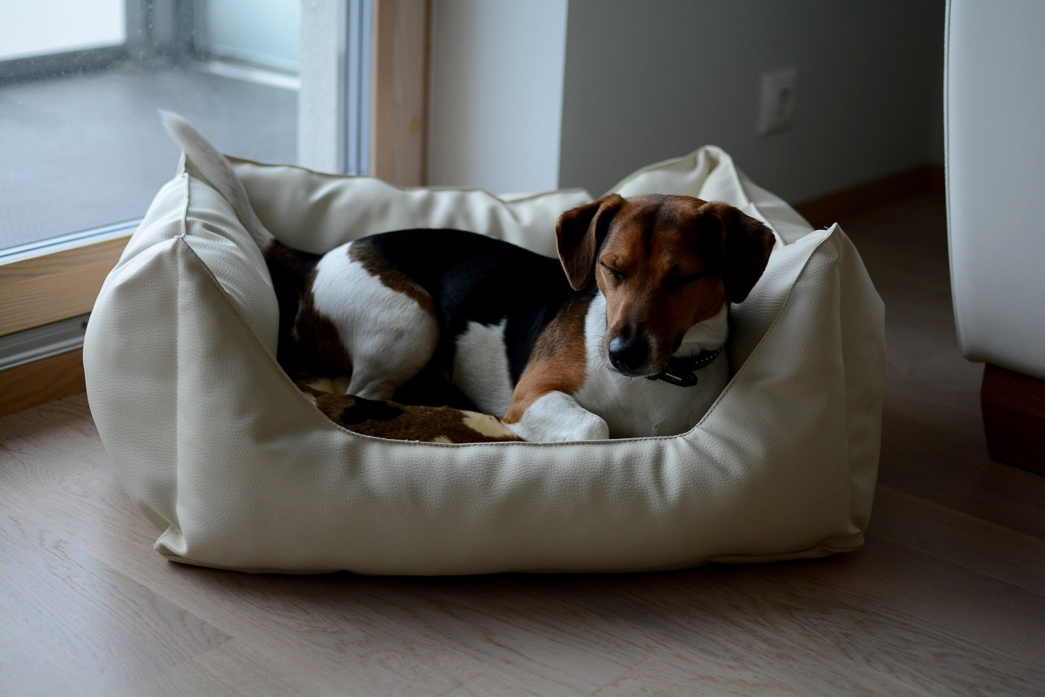 Koiranpeti Original Fluffy Paw