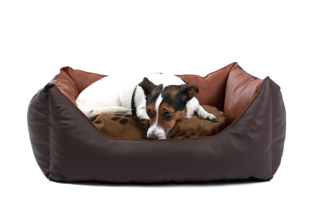 Koiranpeti Original Fluffy Paw